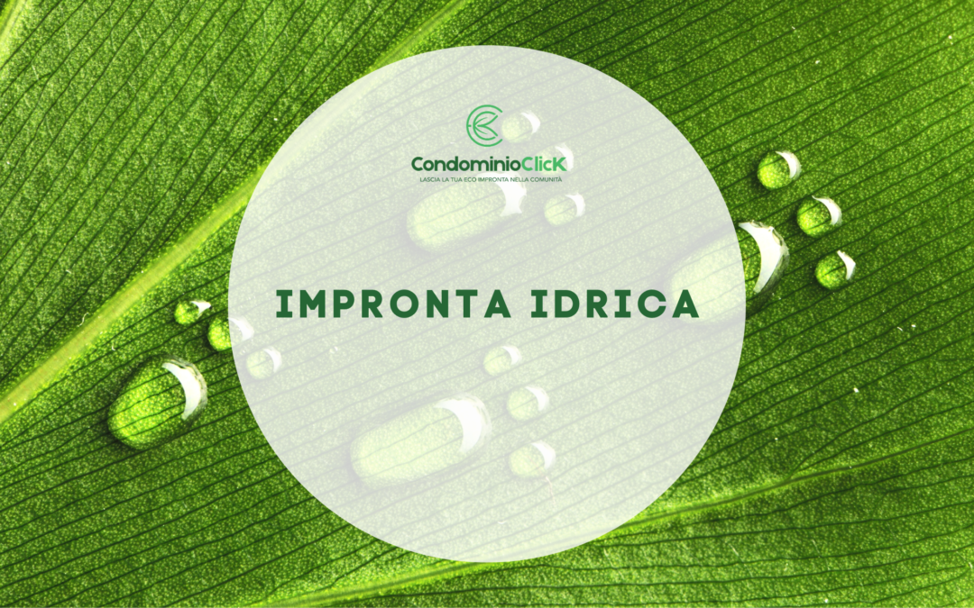 Impronta idrica